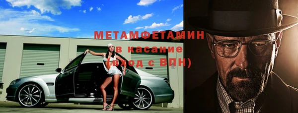 гидра Вязьма