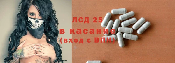 гидра Вязьма