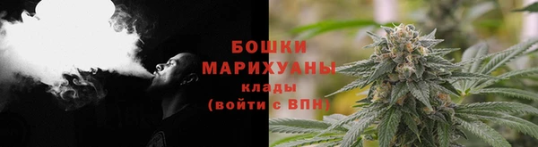 гидра Вязьма