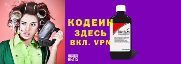 гидра Вязьма