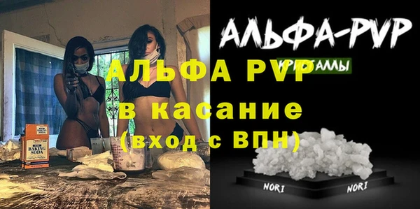 сатива Володарск