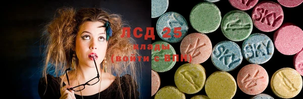 сатива Володарск