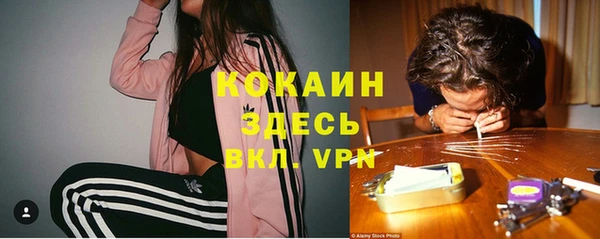 сатива Володарск